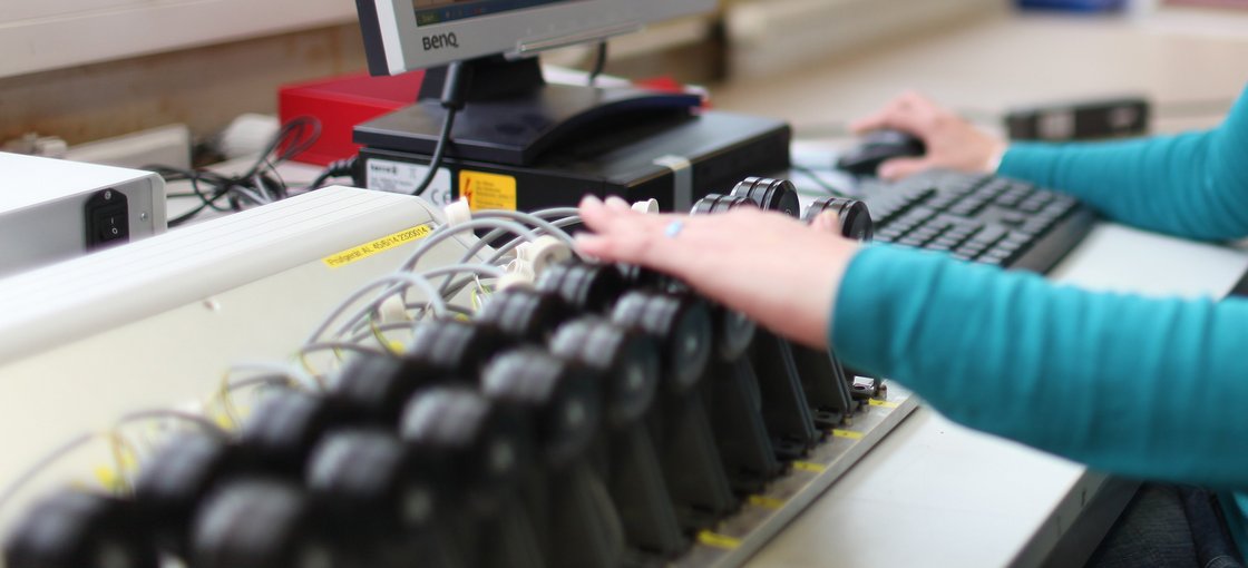 Mitarbeiter arbeitet am Computer.